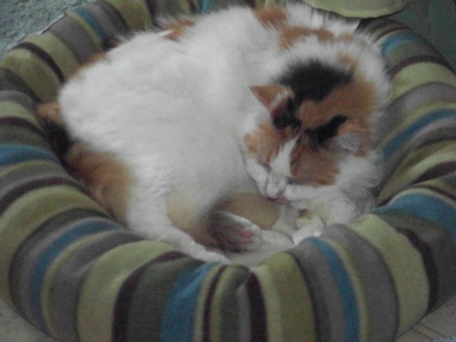 100_0335.JPG