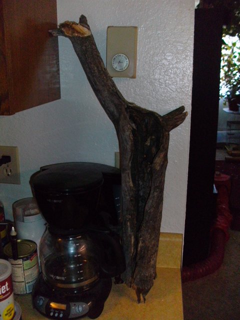 SANY0425.JPG