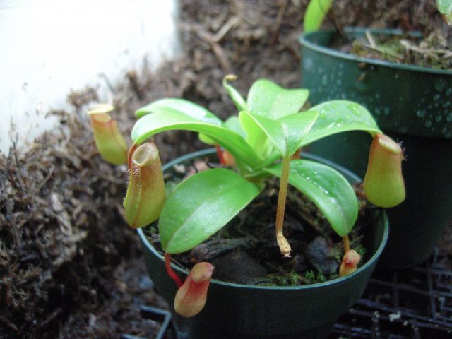 DSCN2051.JPG