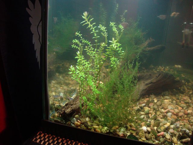 DSC01118.JPG