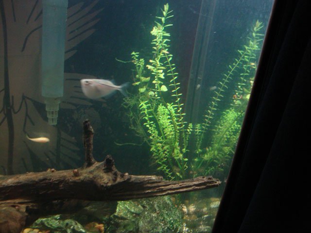 DSC01120.JPG