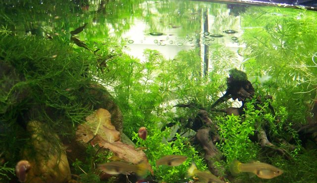 100_2264_cr.jpg