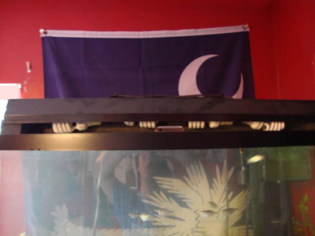 DSC01126.JPG
