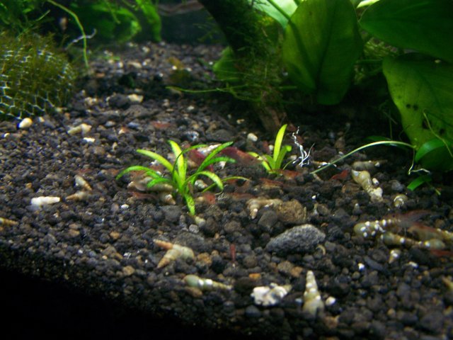 100_3430.JPG
