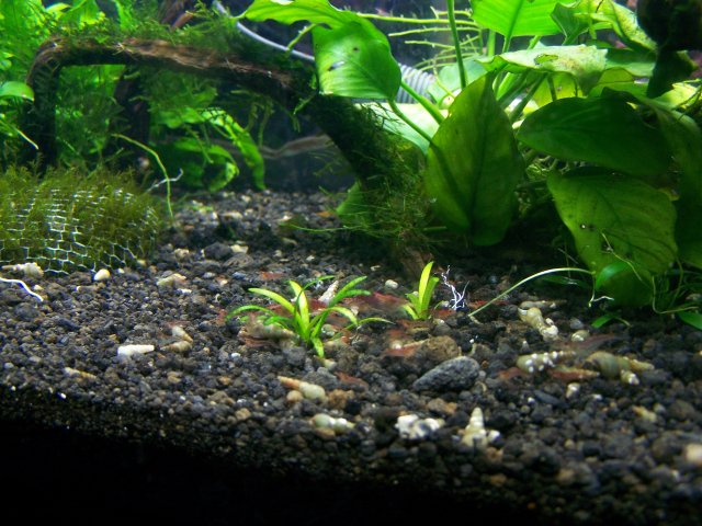 100_3431.JPG