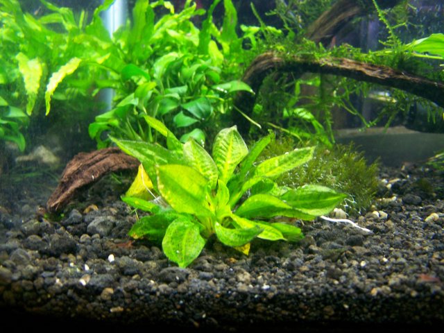 100_3432.JPG