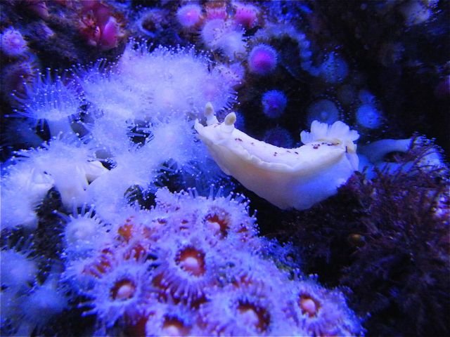 DSCF4501.jpg