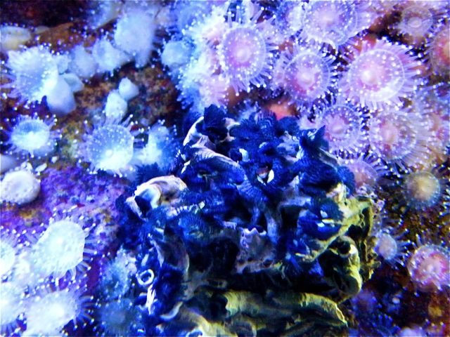 DSCF4508.jpg
