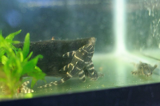 _MG_3720_sm.jpg _MG_3720_sm.jpg