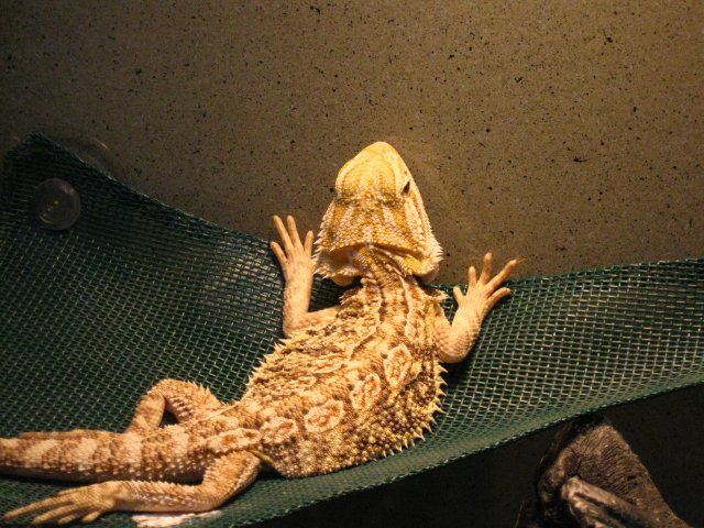 IMG_3721.jpg