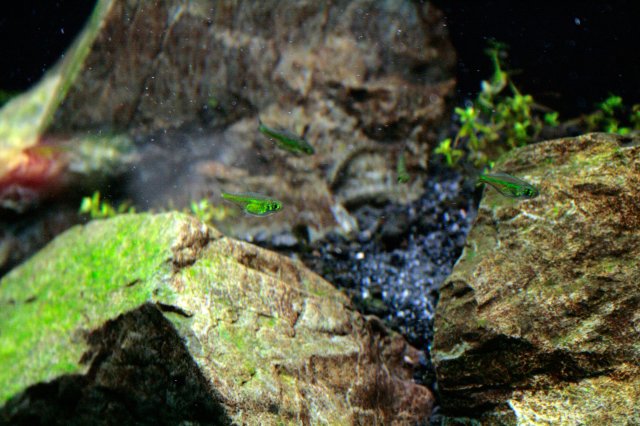 _MG_2739.jpg
