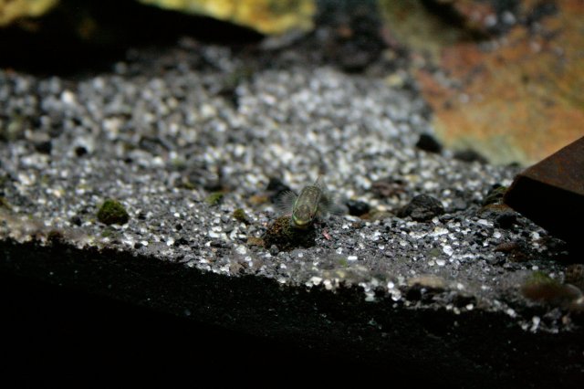 _MG_2747.jpg