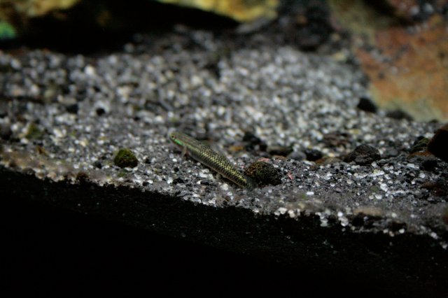 _MG_2752.jpg