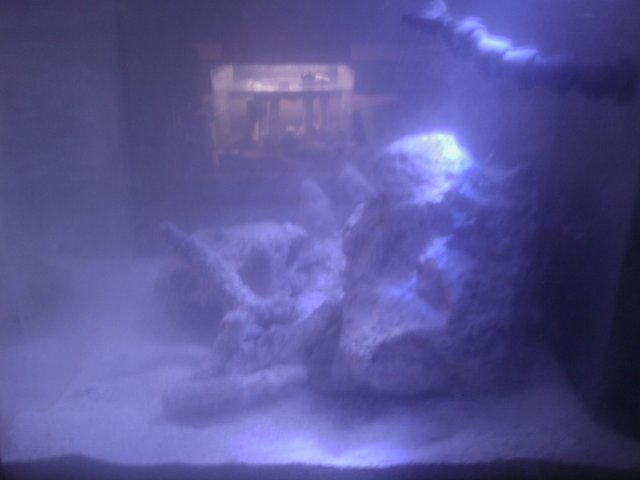 Phone Pictures 003.jpg