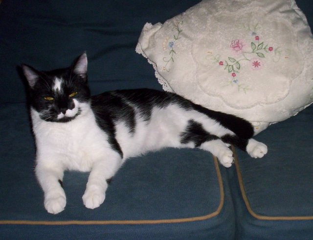 Little Baby Resized.jpg