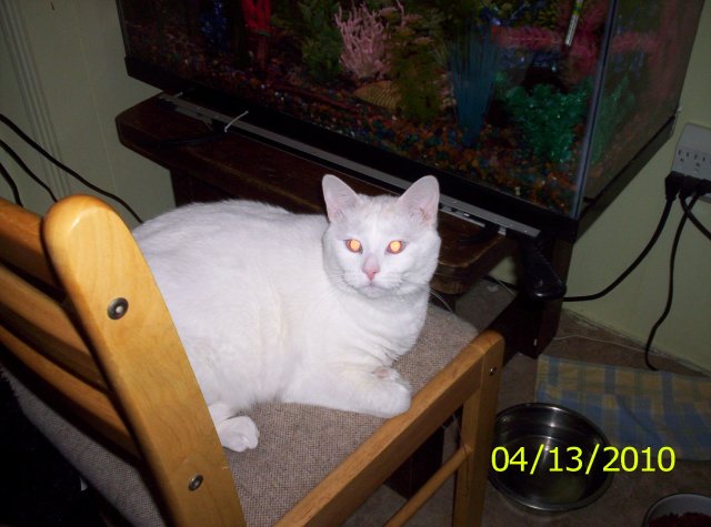 Dolly and Sassy,Boy-Boy 015.jpg