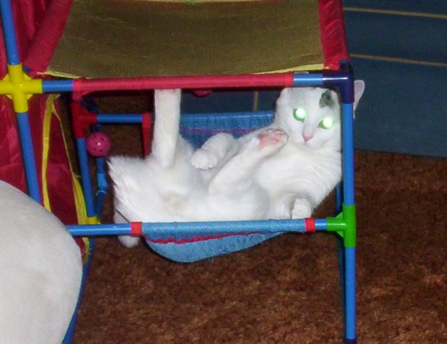 Kyle E kicking back in the hammock  resized.jpg