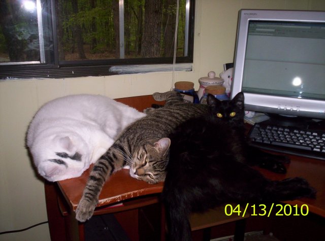 Dolly and Sassy,Boy-Boy 014.jpg