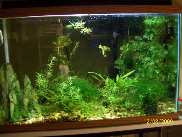 100_1675.jpg
