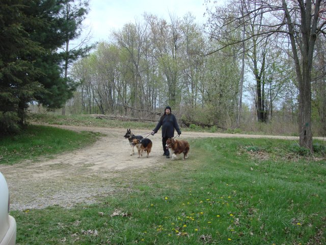 Shemp, Pearl and Cheyenne 006.jpg