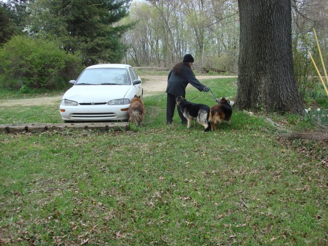 Shemp, Pearl and Cheyenne 005.jpg