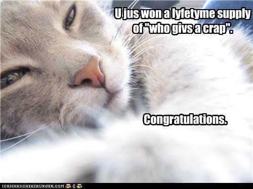 funny-pictures-cat-tells-you-you-won.jpg