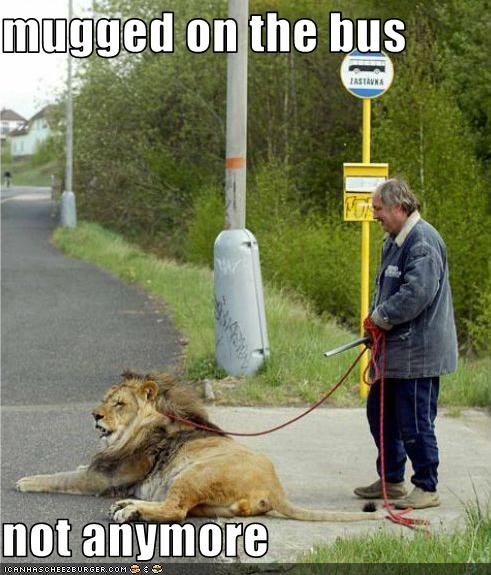 funny-pictures-man-has-lion.jpg
