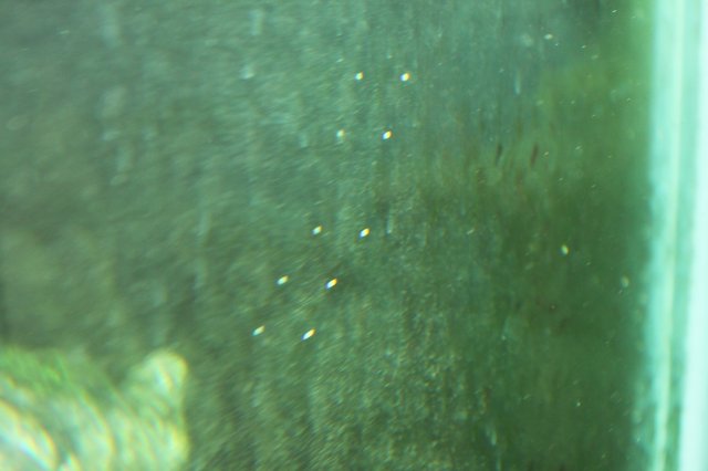IMG_1991.JPG