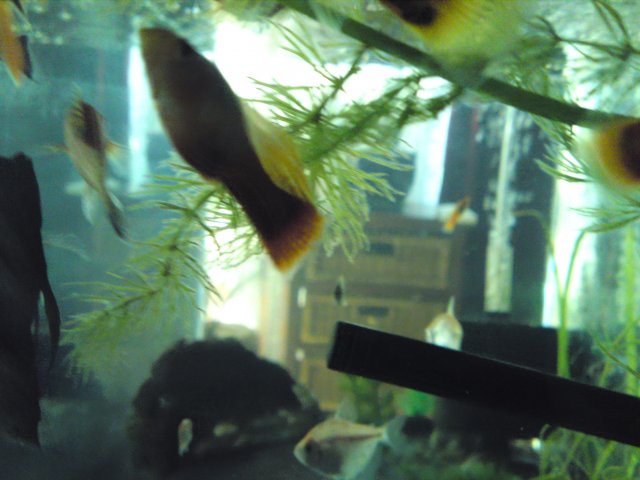 DSC01913.JPG