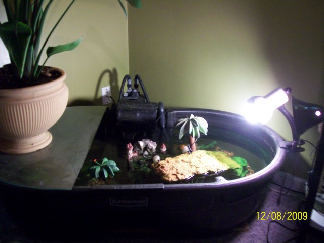 100_1681.jpg