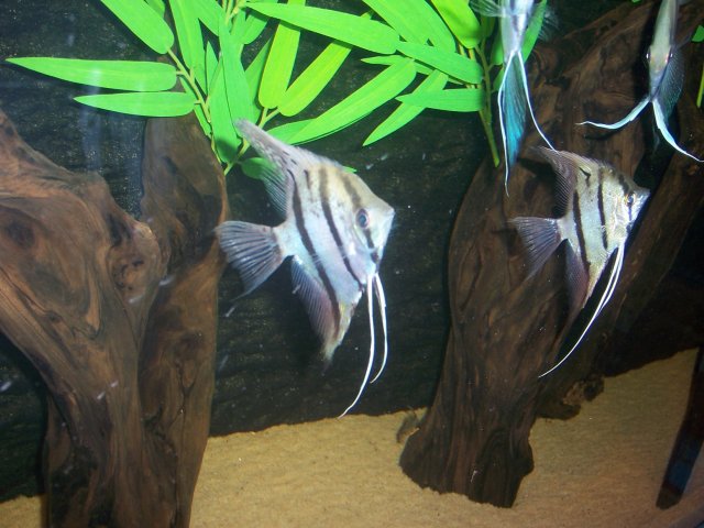 100_5628.JPG 100_5628.JPG