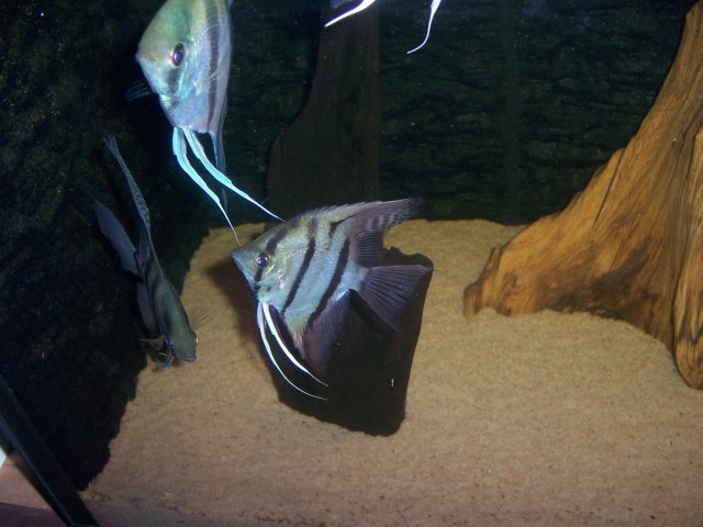100_5635.JPG 100_5635.JPG