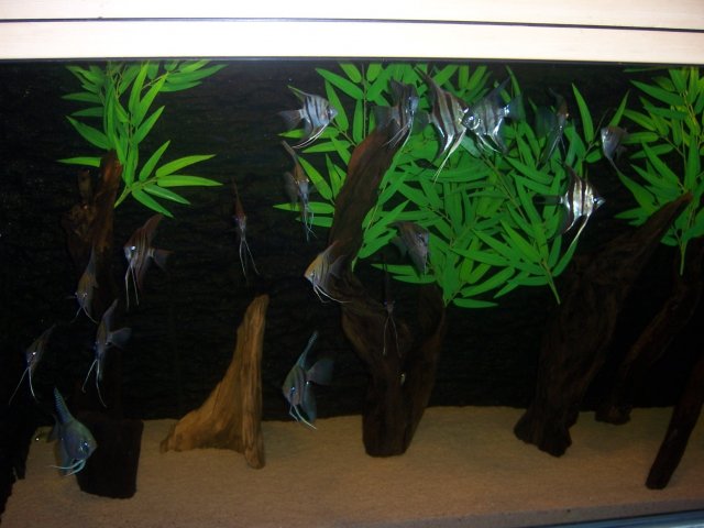 100_5639.JPG 100_5639.JPG