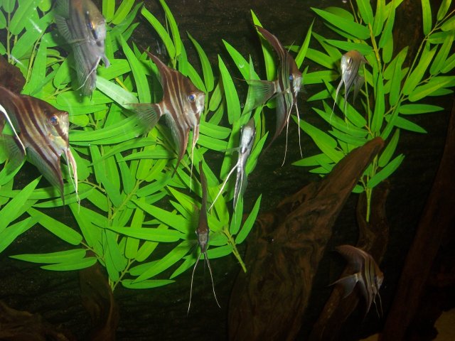100_5643.JPG 100_5643.JPG