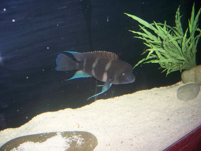 100_5672.JPG 100_5672.JPG