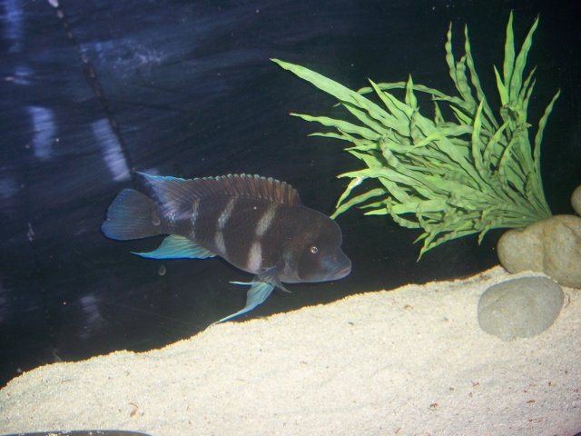 100_5673.JPG 100_5673.JPG
