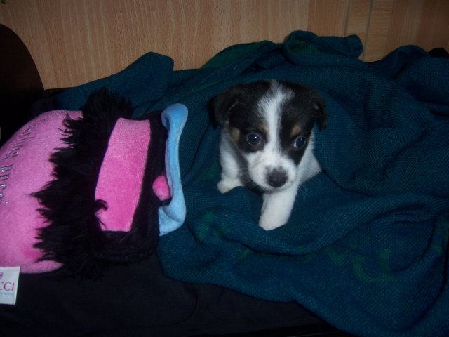 100_5607.JPG 100_5607.JPG
