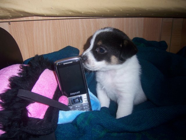100_5609.JPG 100_5609.JPG