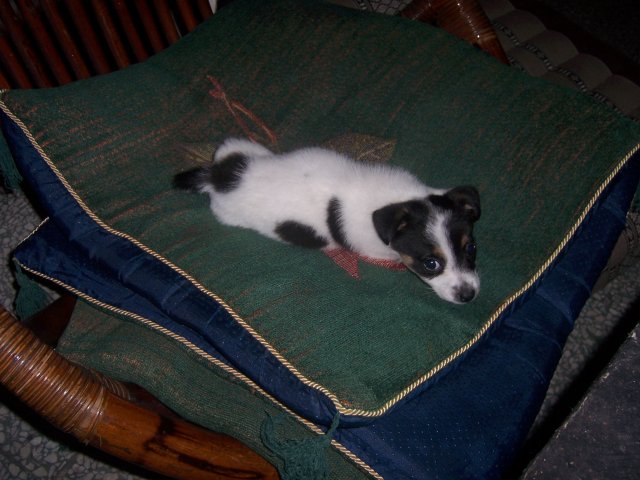 100_5616.JPG 100_5616.JPG