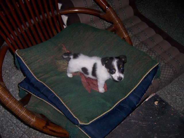 100_5617.JPG 100_5617.JPG