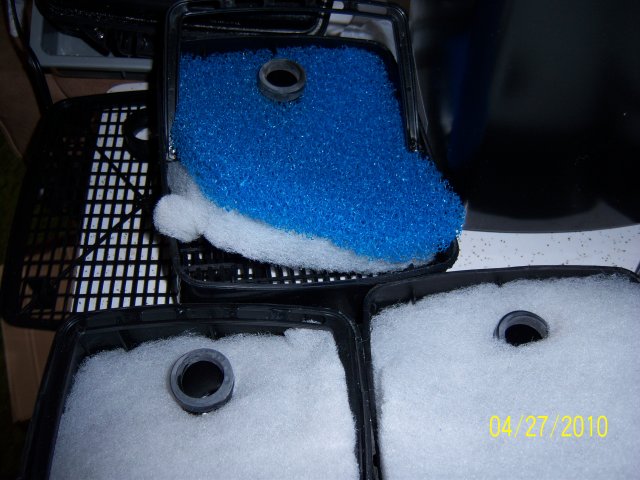 100_3268.jpg