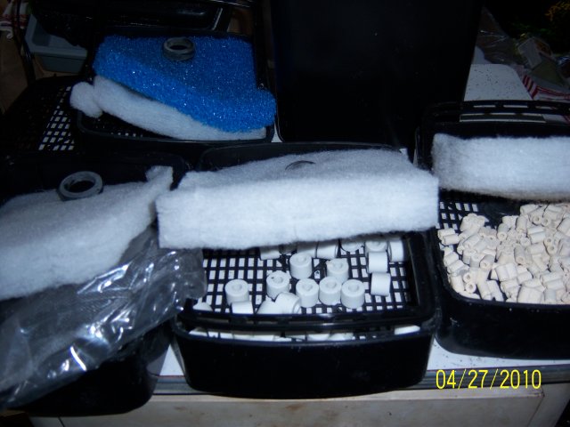 100_3271.jpg