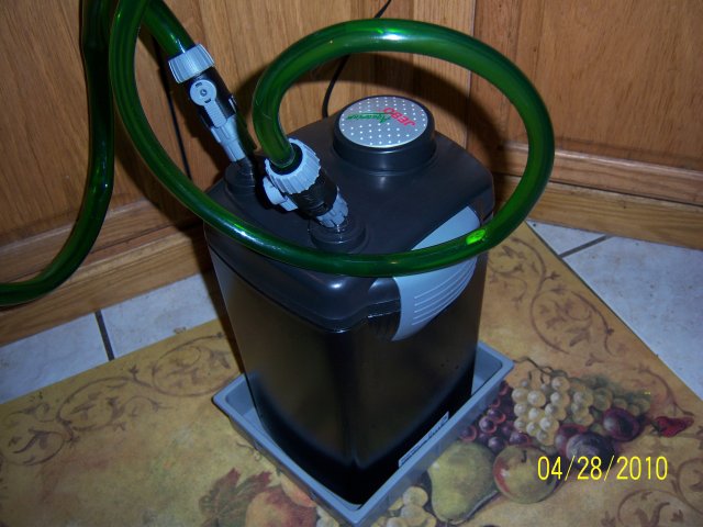100_3289.jpg