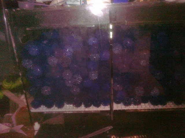 CIMG0017.jpg CIMG0017.jpg