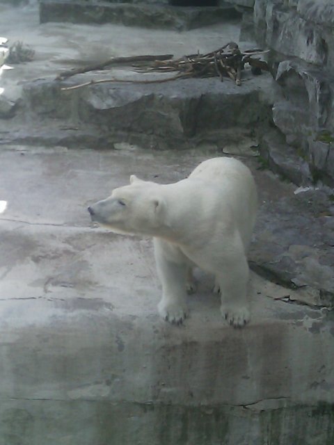 Phone Pictures 002.jpg