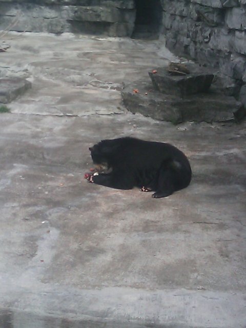 Phone Pictures 004.jpg