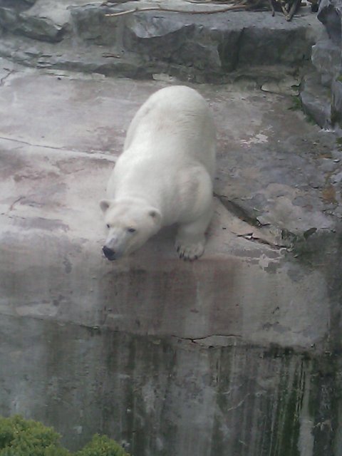 Phone Pictures 005.jpg