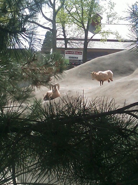 Phone Pictures 009.jpg