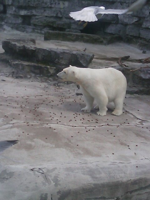 Phone Pictures 010.jpg