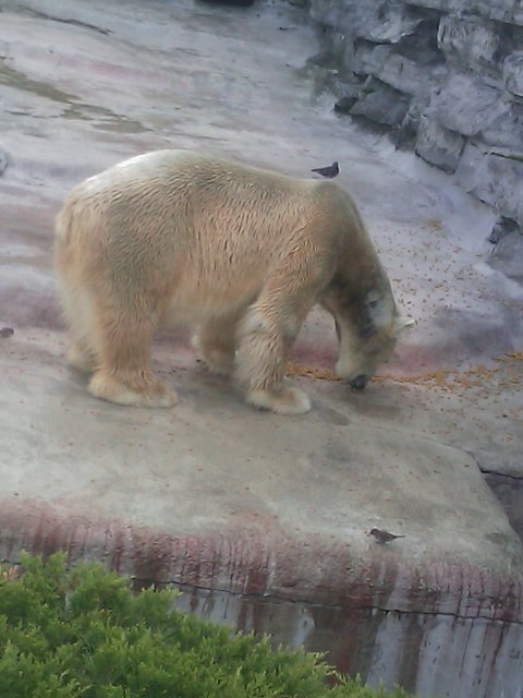 Phone Pictures 011.jpg